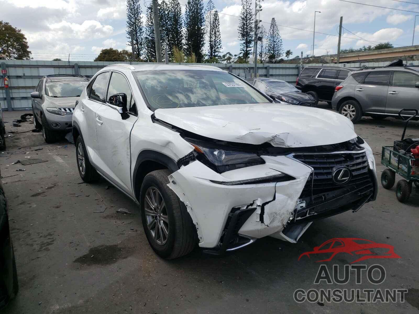 LEXUS NX 2019 - JTJYARBZ5K2124981