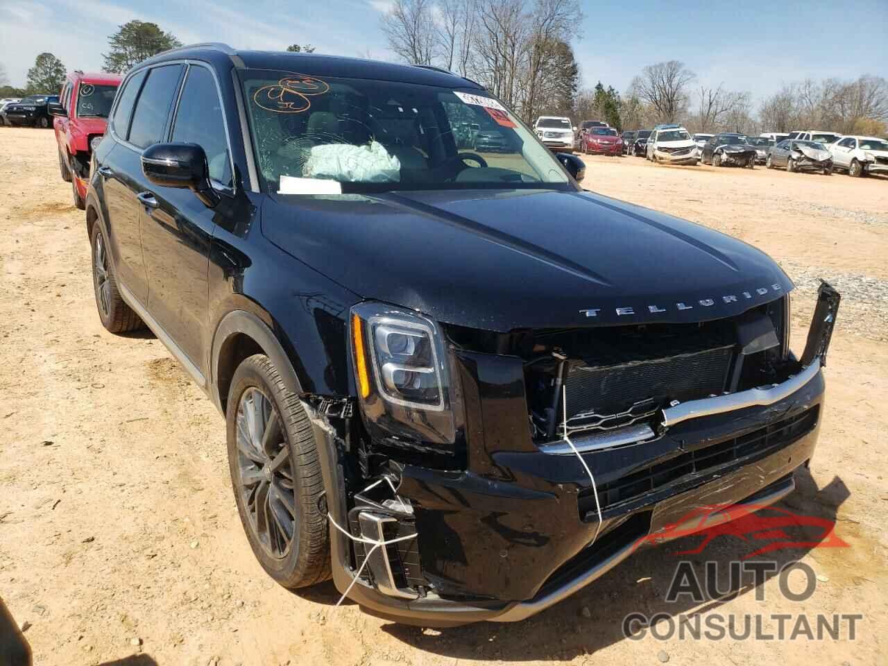 KIA TELLURIDE 2021 - 5XYP5DHC8MG130131