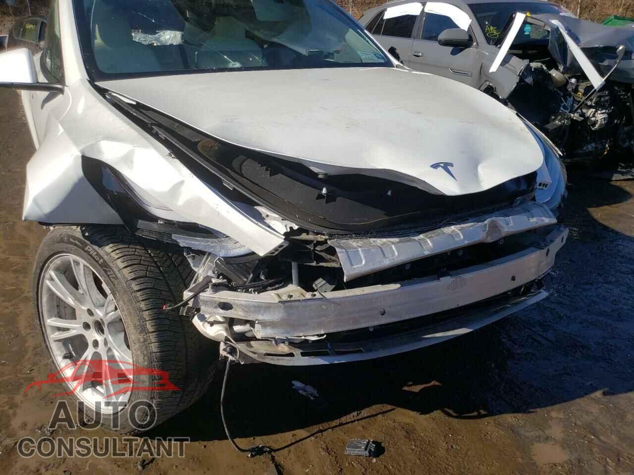 TESLA MODEL Y 2021 - 5YJYGDEEXMF076116