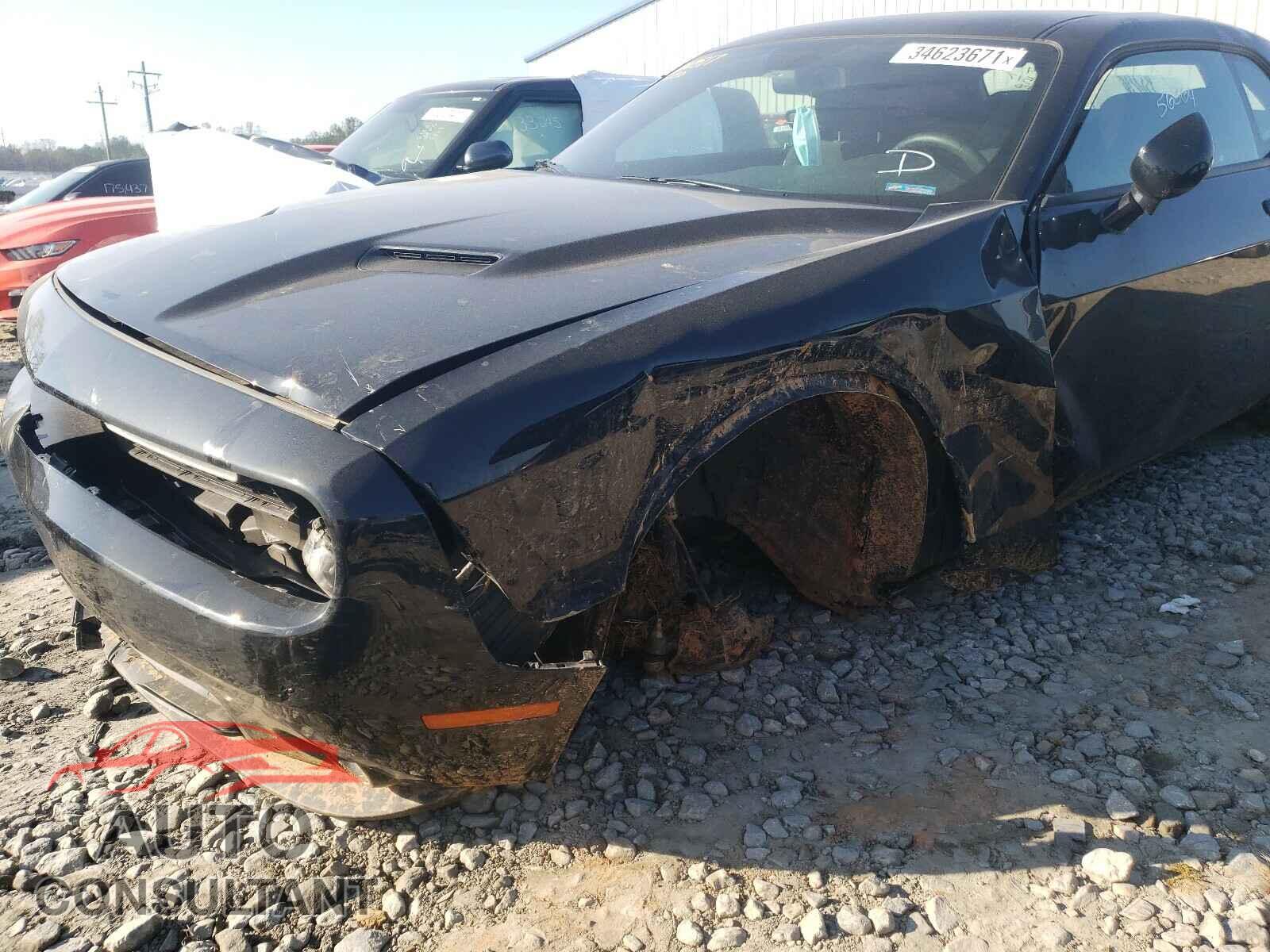 DODGE CHALLENGER 2019 - 2C3CDZAG7KH729438