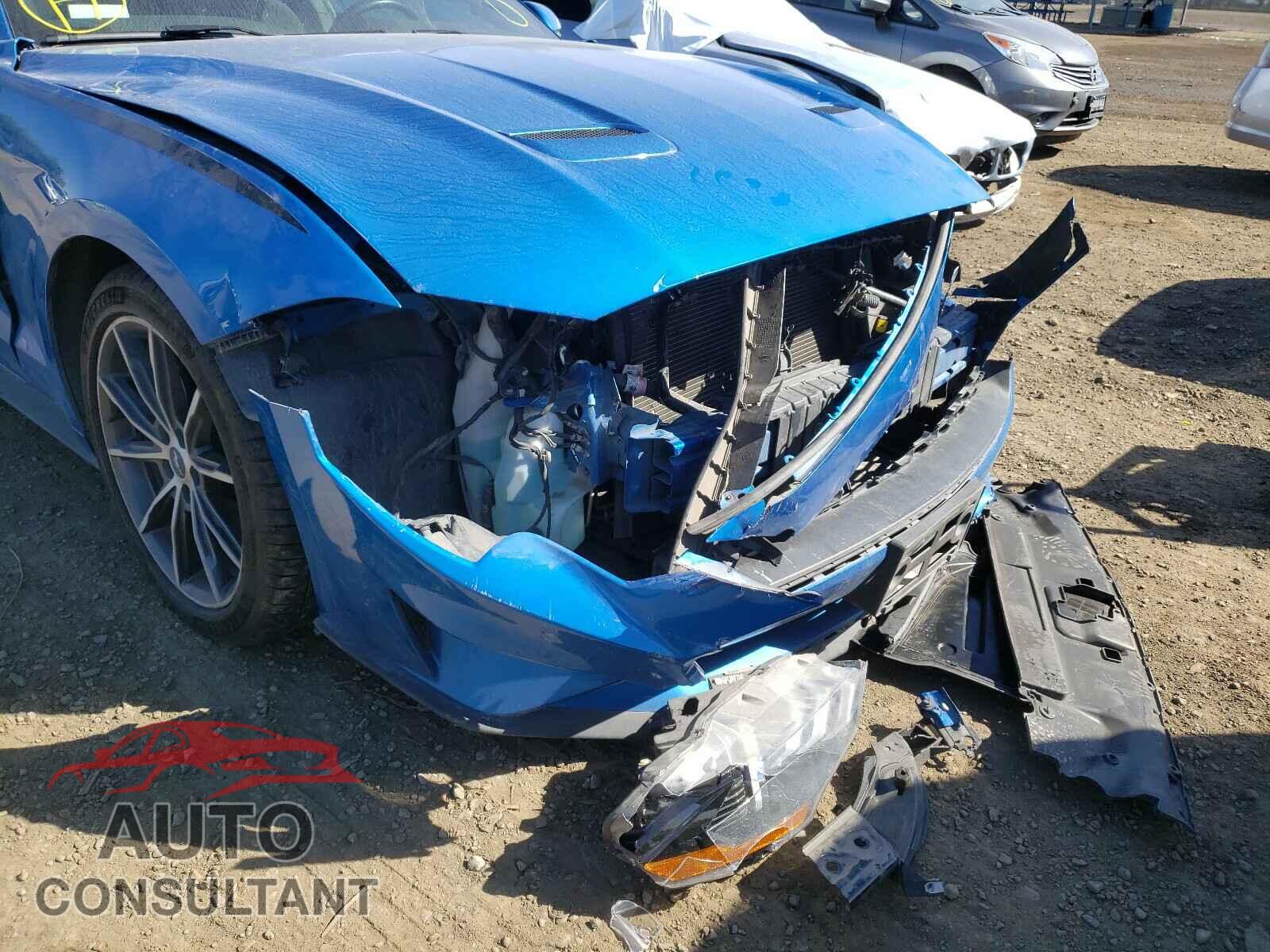 FORD MUSTANG 2019 - 1FA6P8TH8K5135065