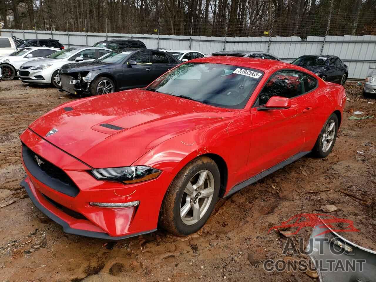 FORD MUSTANG 2019 - 1FA6P8TH4K5146662