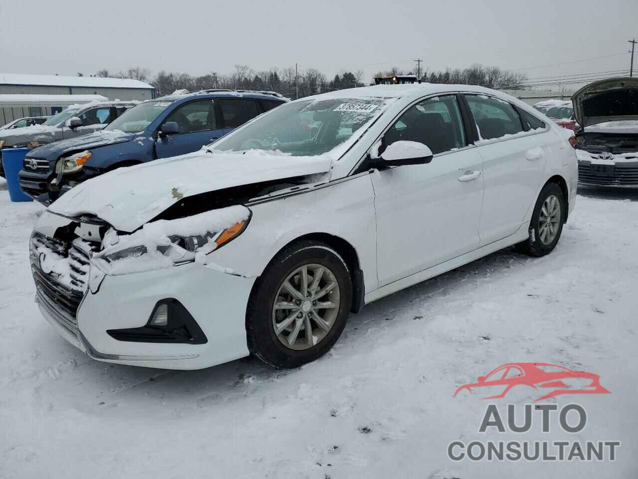HYUNDAI SONATA 2019 - 5NPE24AFXKH734029