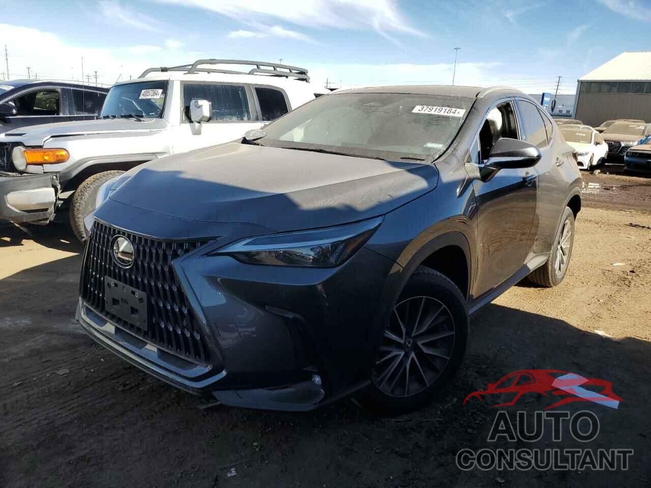 LEXUS NX 350H 2023 - 2T2GKCEZXPC014842