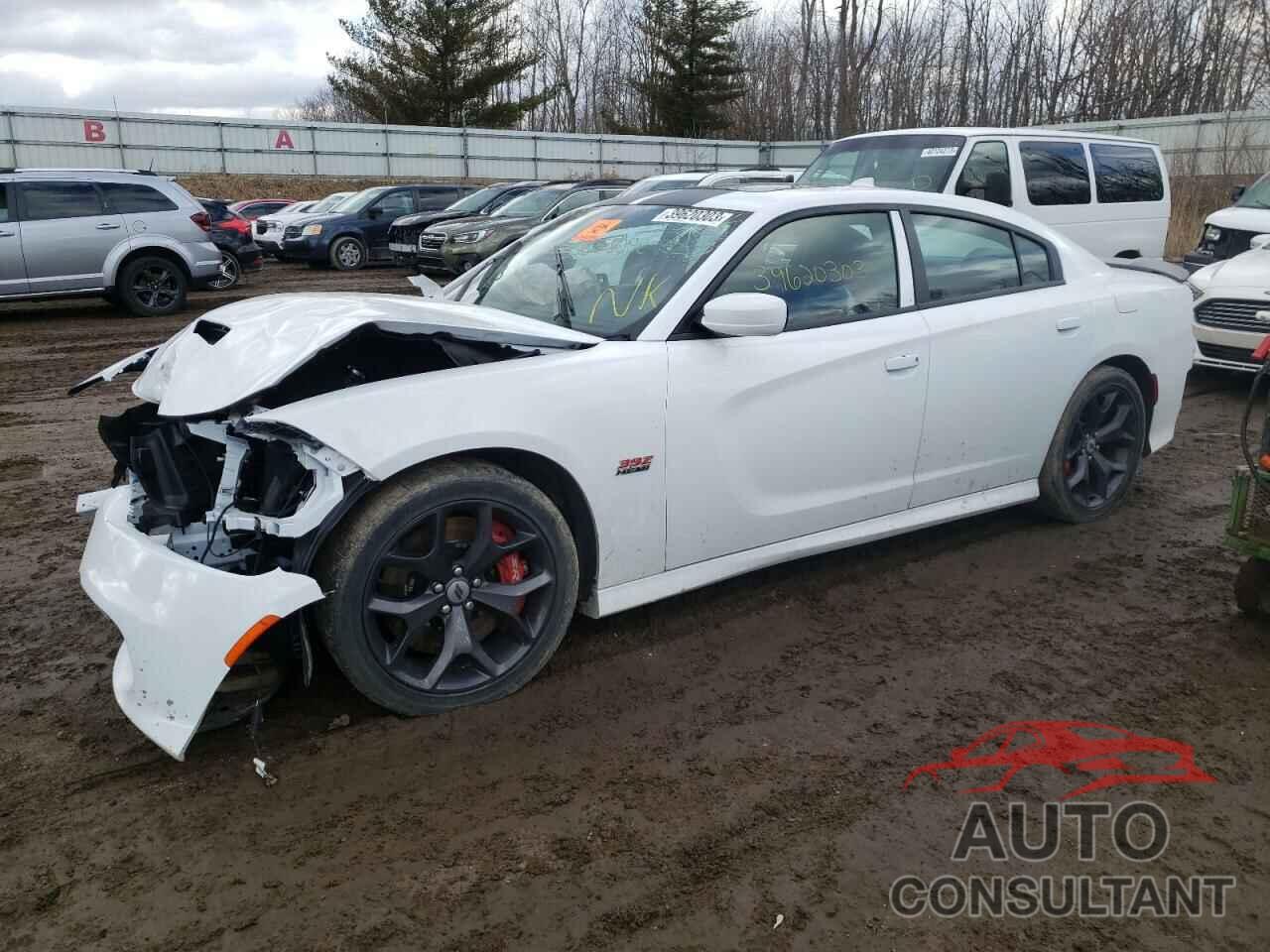 DODGE CHARGER 2022 - 2C3CDXGJ9NH159373