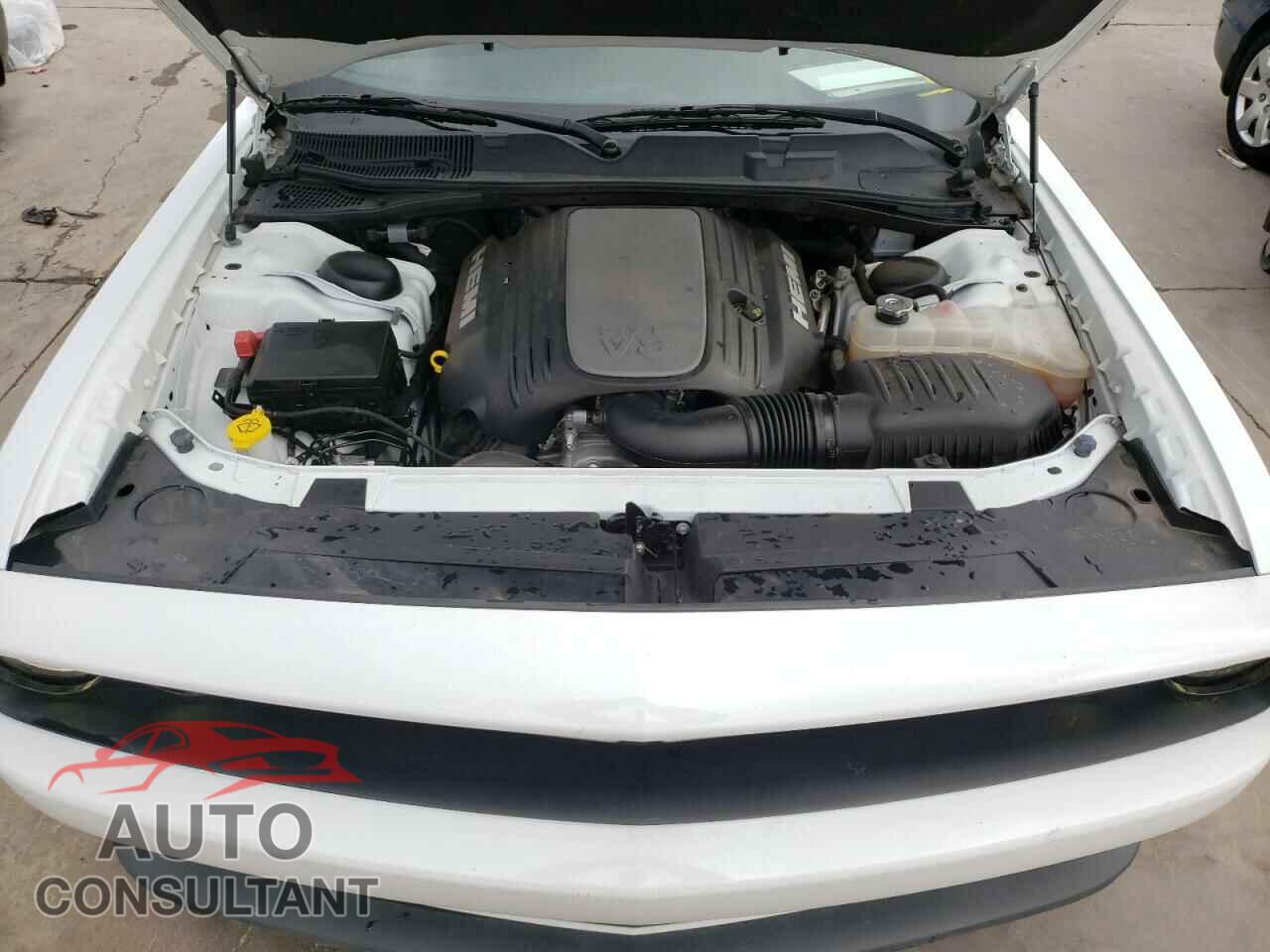 DODGE CHALLENGER 2019 - 2C3CDZBT9KH606428