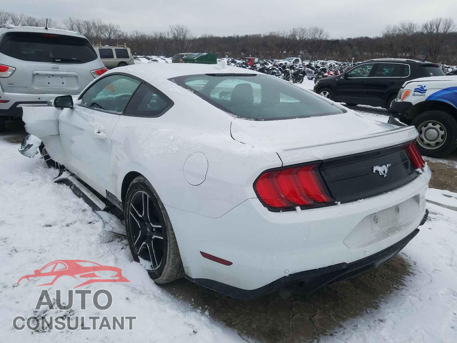 FORD MUSTANG 2020 - 1FA6P8TH7L5136631