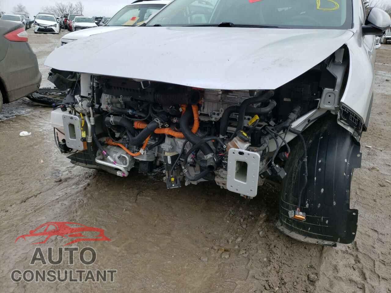 KIA NIRO 2019 - KNDCB3LCXK5259387