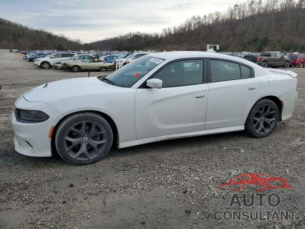 DODGE CHARGER 2019 - 2C3CDXHGXKH597107