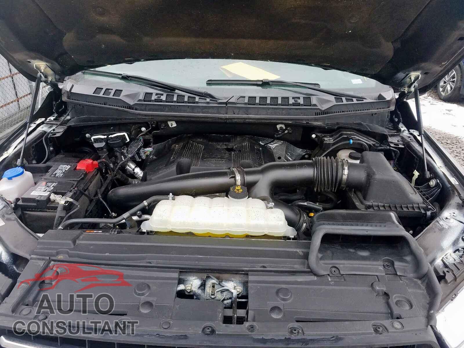 FORD F150 2019 - 1FA6P8AM8G5225727