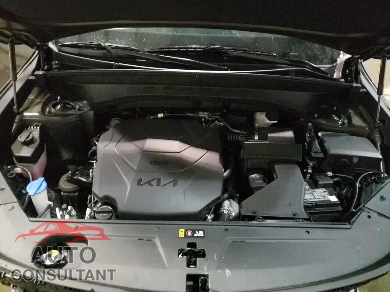 KIA TELLURIDE 2022 - 5XYP3DHC4NG227463