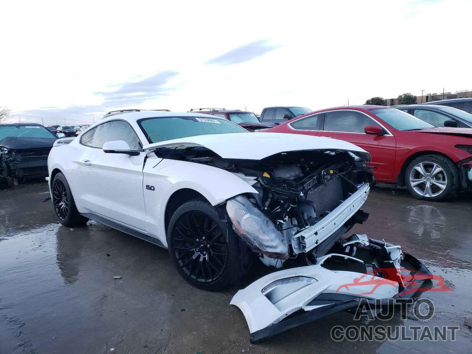 FORD MUSTANG 2019 - 1FA6P8CF3K5134002