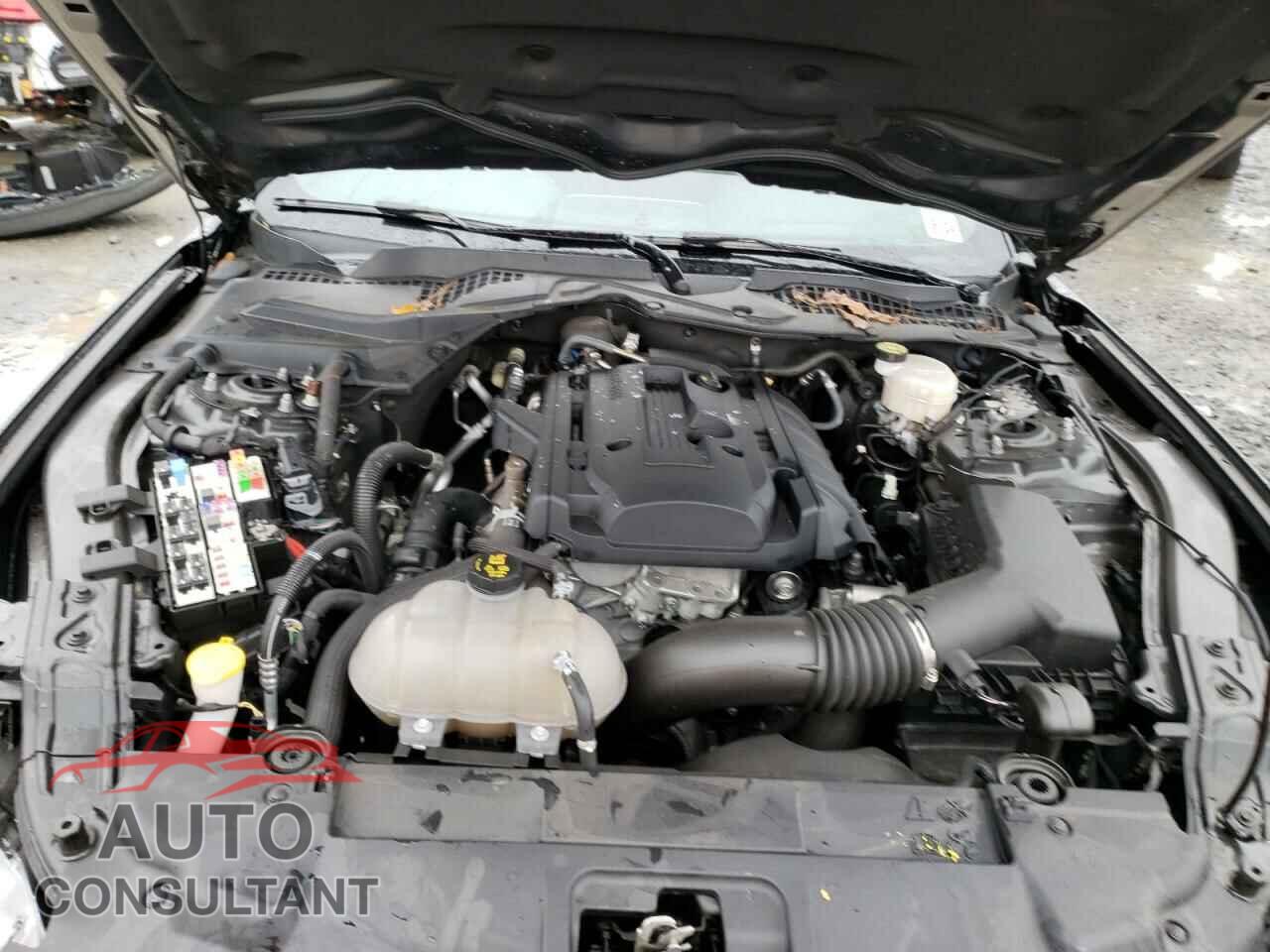 FORD MUSTANG 2019 - 1FA6P8TH9K5203082