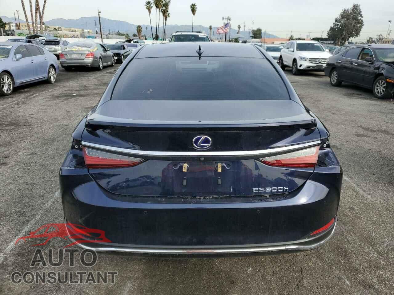 LEXUS ES300 2019 - JTHB21B19K2015102