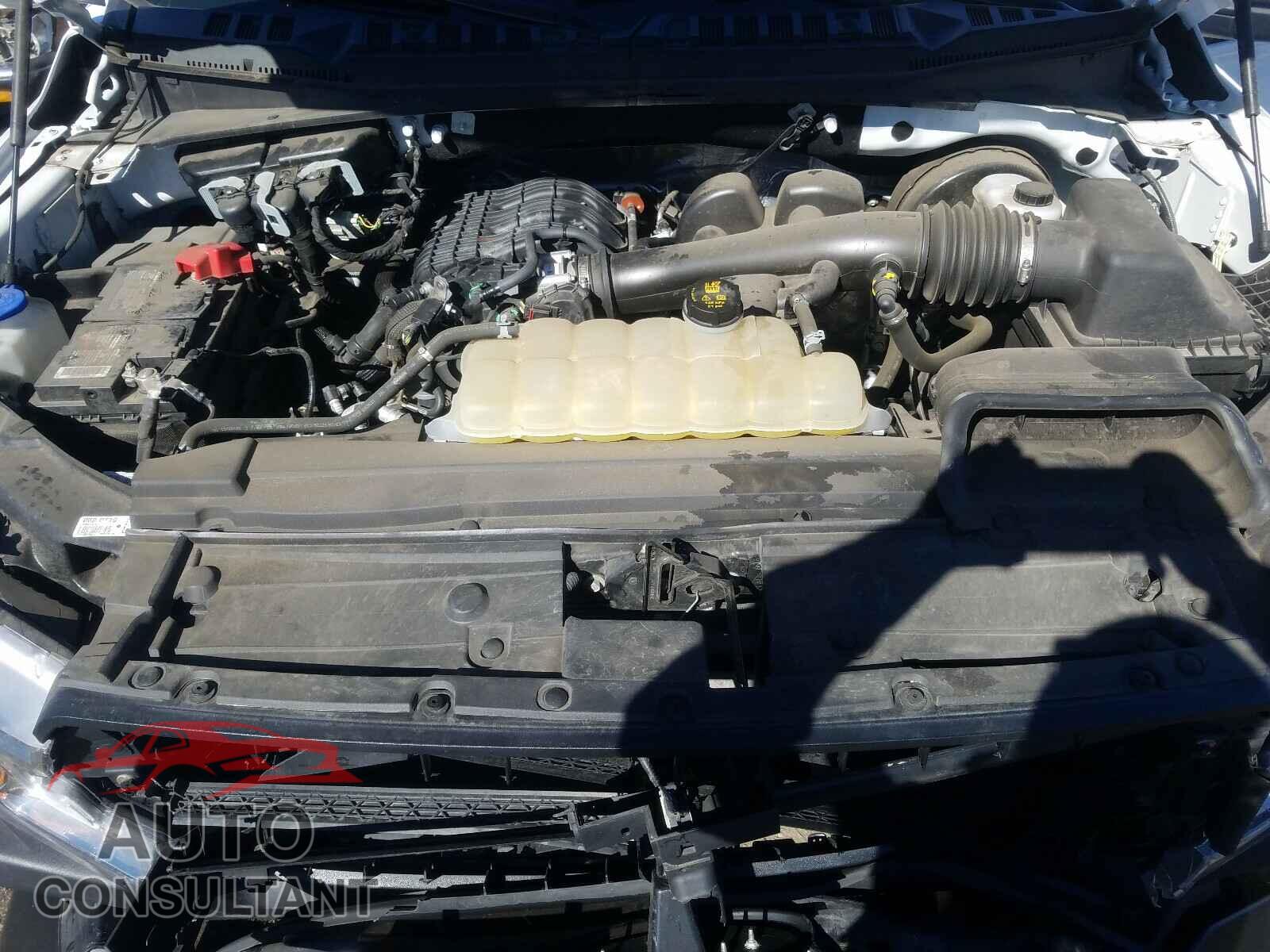 FORD F150 2019 - 1FTMF1CB8KKD16059