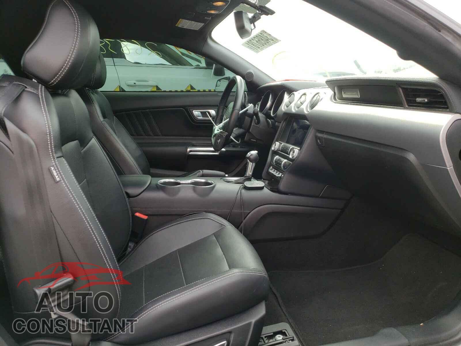 FORD MUSTANG 2019 - 1FA6P8CF3K5151480