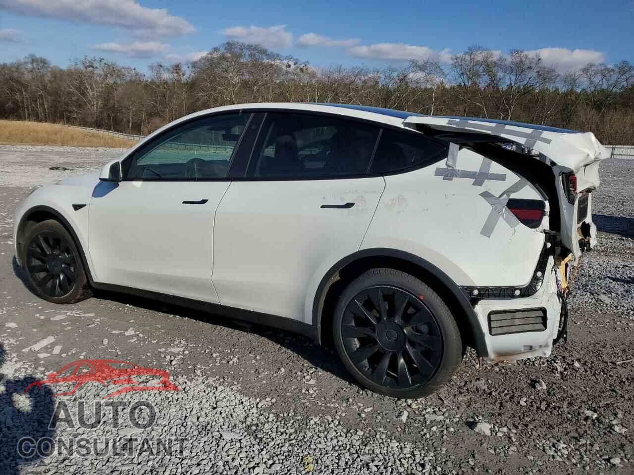 TESLA MODEL Y 2021 - 5YJYGDEE1MF229904