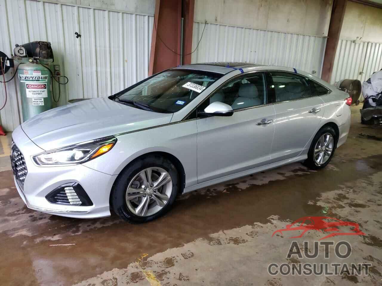 HYUNDAI SONATA 2019 - 5NPE34AF5KH731522