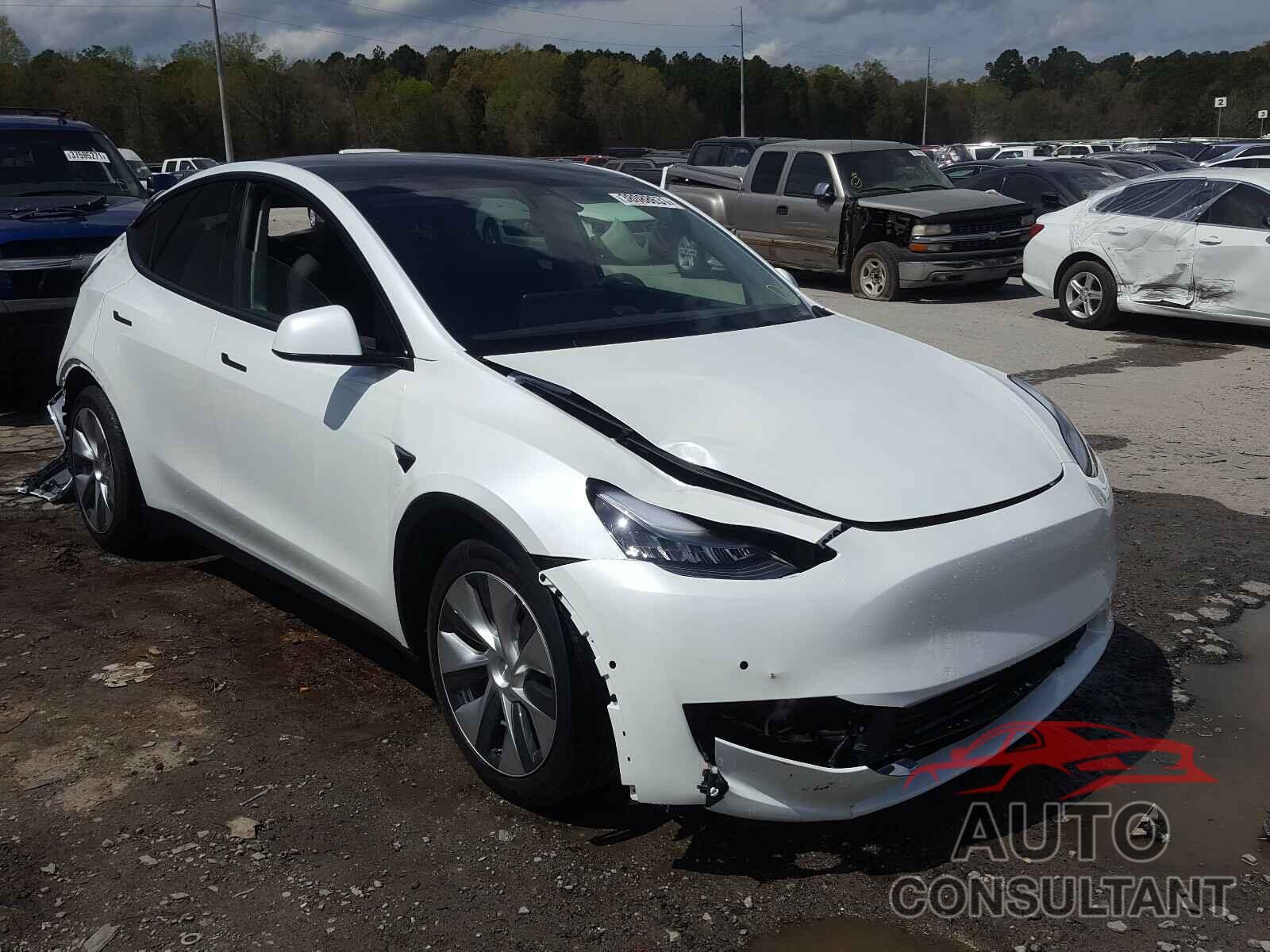 TESLA MODEL Y 2021 - 5YJYGDEE0MF118812