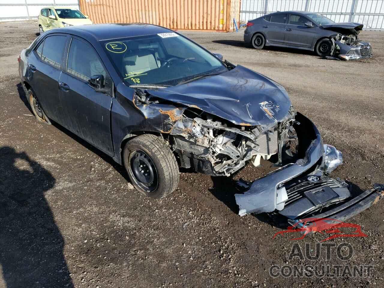 TOYOTA COROLLA 2016 - 2T1BURHE8GC701662