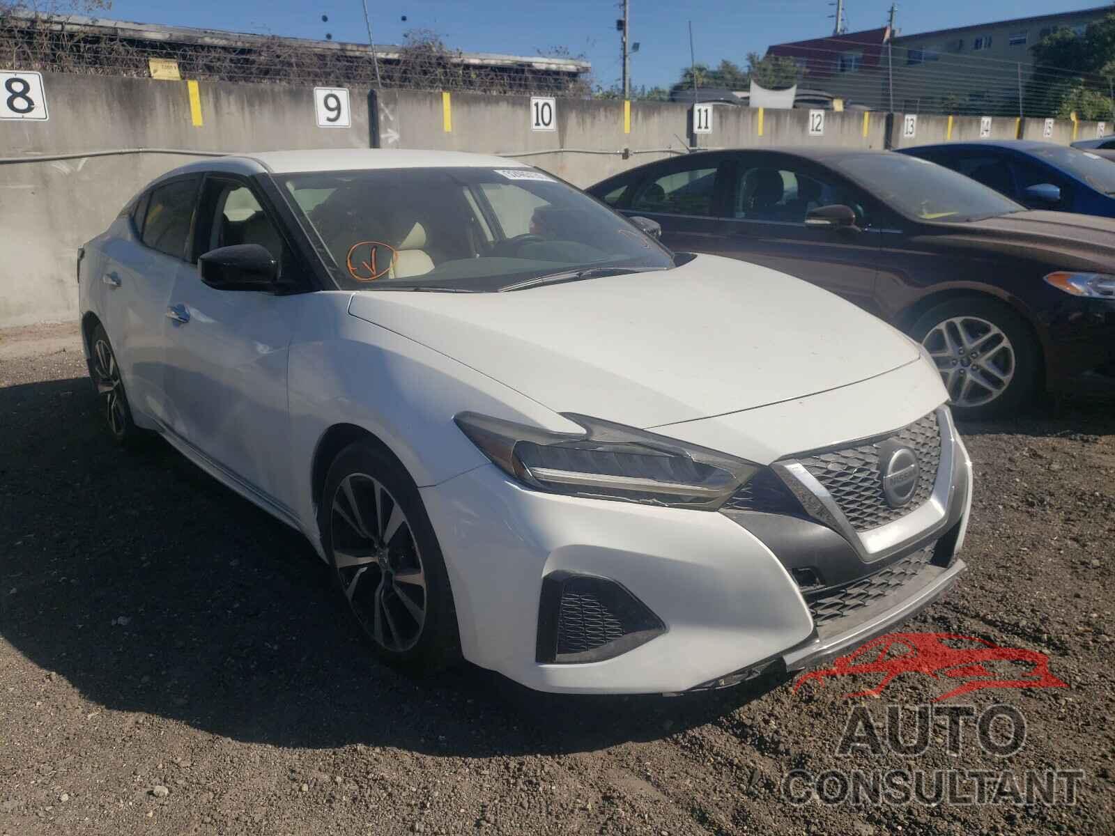 NISSAN MAXIMA 2019 - 1N4AA6AV9KC374399