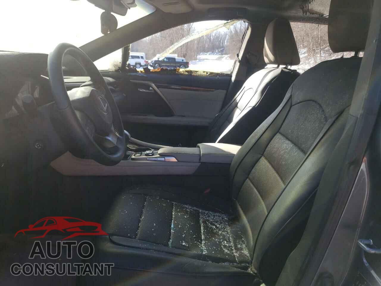 LEXUS RX450 2019 - 2T2BGMCAXKC032460
