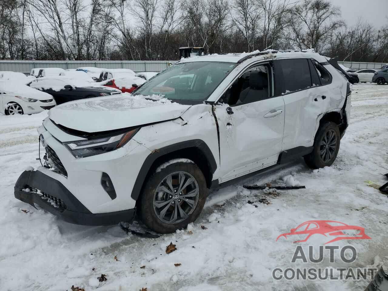 TOYOTA RAV4 2023 - 4T3B6RFV5PU116377