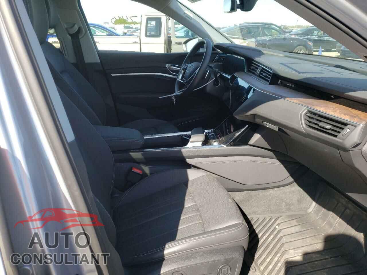 AUDI E-TRON 2019 - WA1LABGE4KB011530