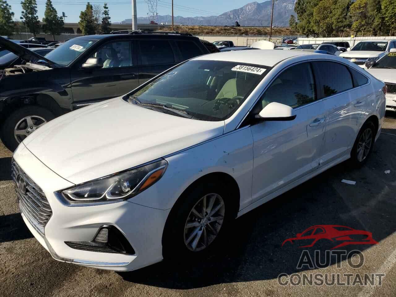 HYUNDAI SONATA 2019 - 5NPE24AF3KH801862