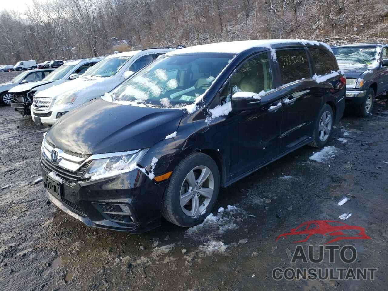 HONDA ODYSSEY 2019 - 5FNRL6H71KB050218