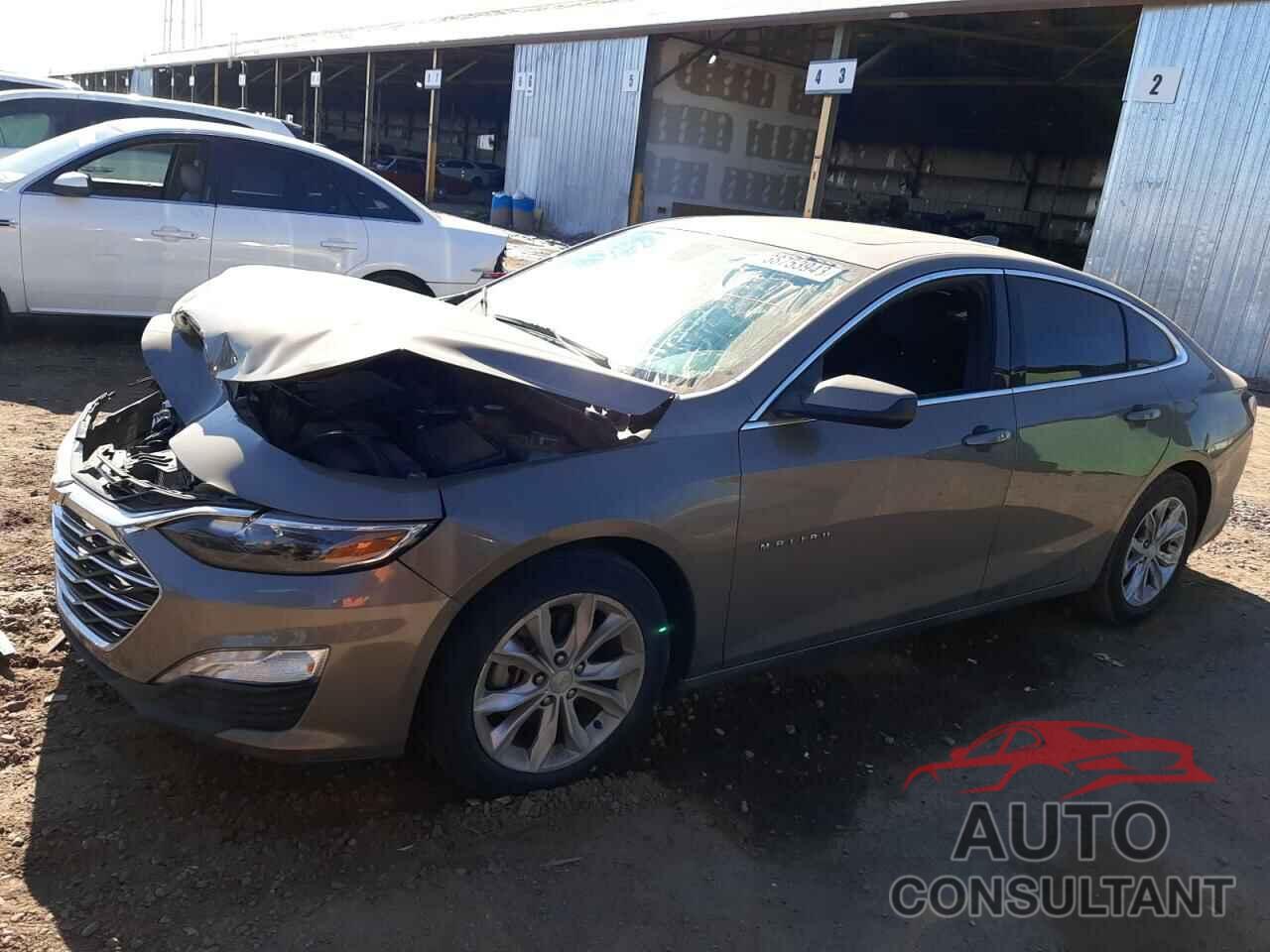 CHEVROLET MALIBU 2020 - 1G1ZD5ST5LF031562