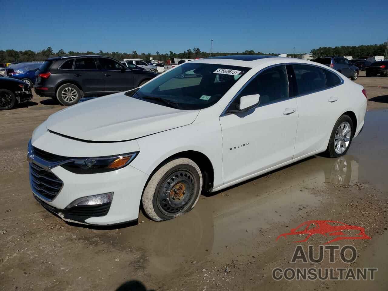 CHEVROLET MALIBU 2019 - 1G1ZD5ST1KF143645