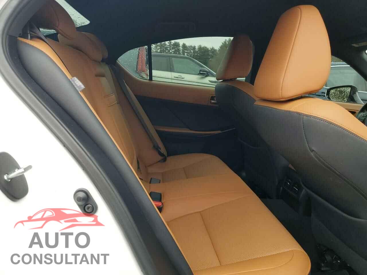 LEXUS IS 2021 - JTHAA1D21M5113773