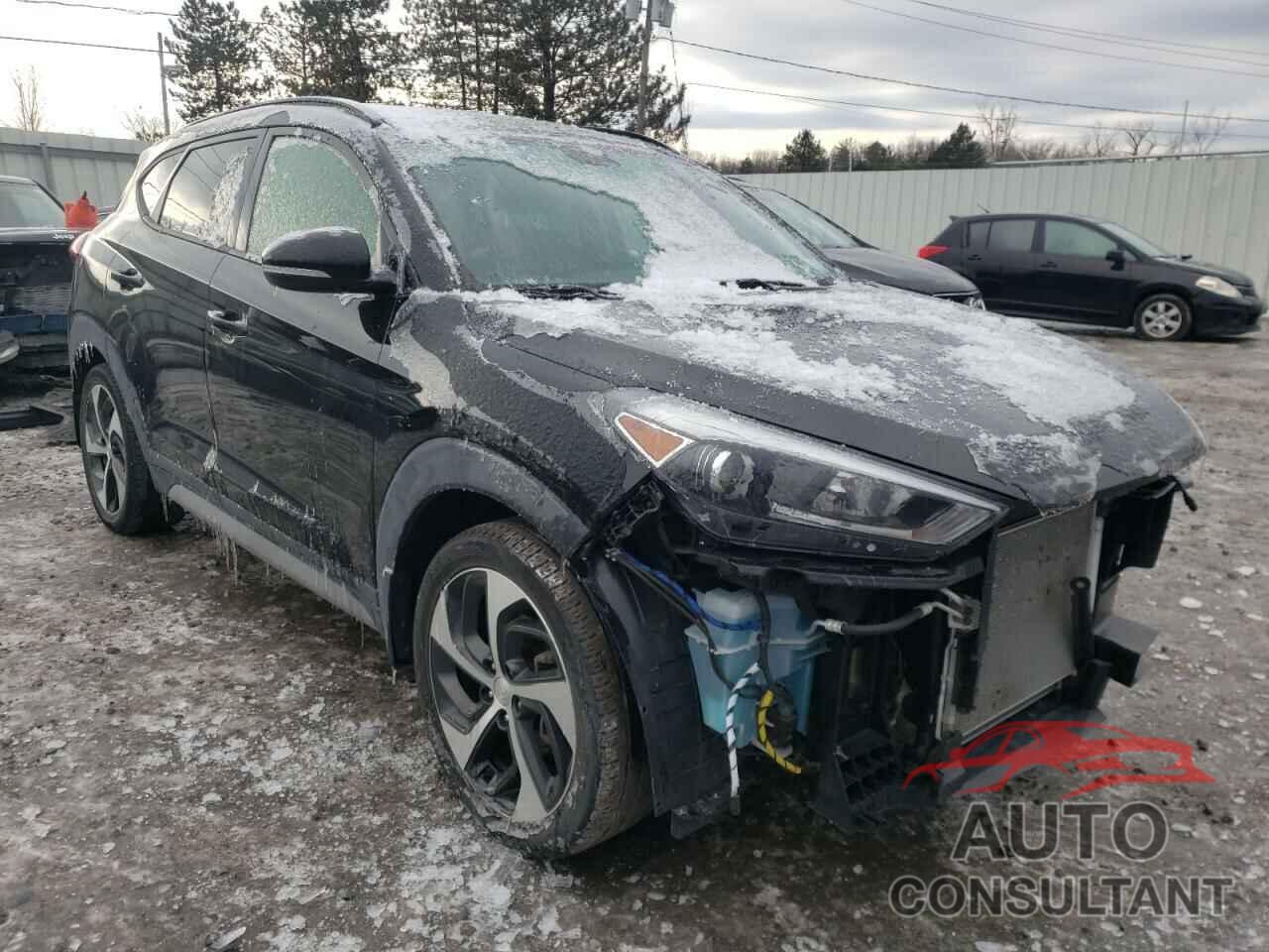HYUNDAI TUCSON 2017 - KM8J3CA25HU565146