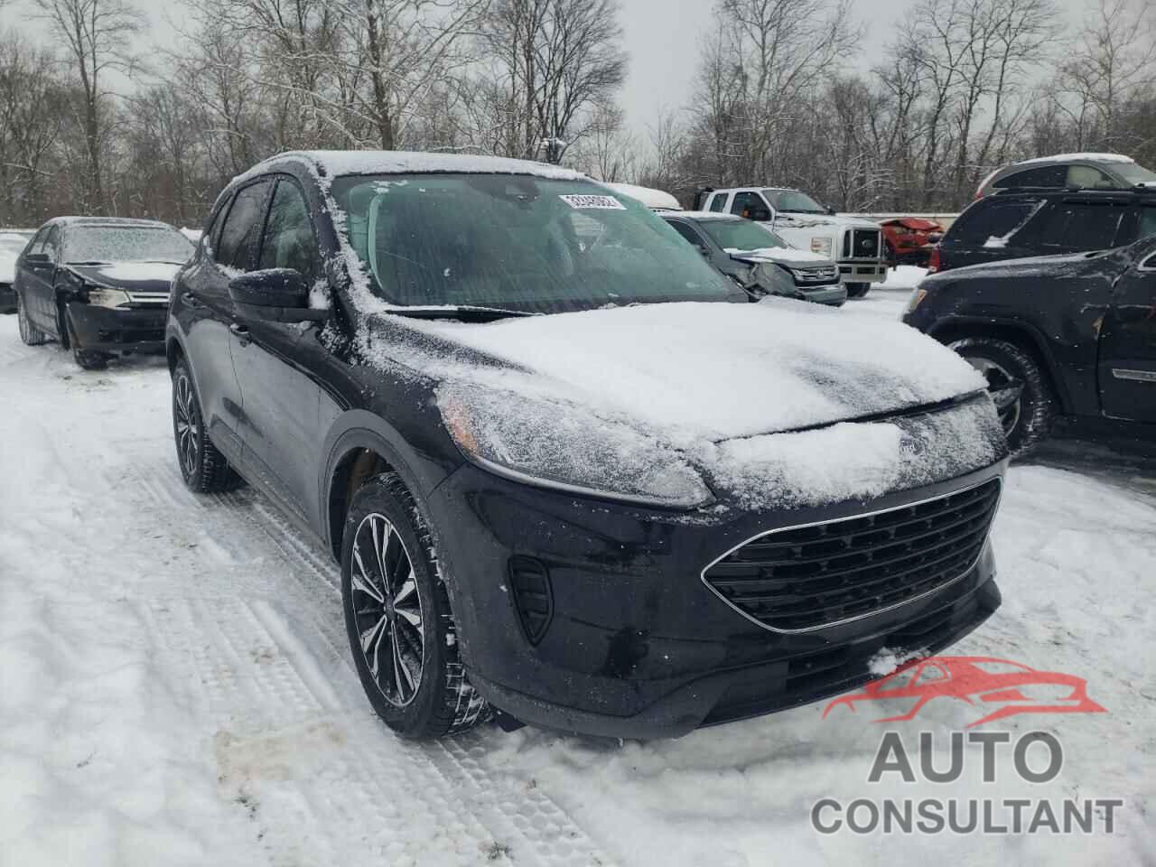 FORD ESCAPE 2021 - 1FMCU9G62MUA20910