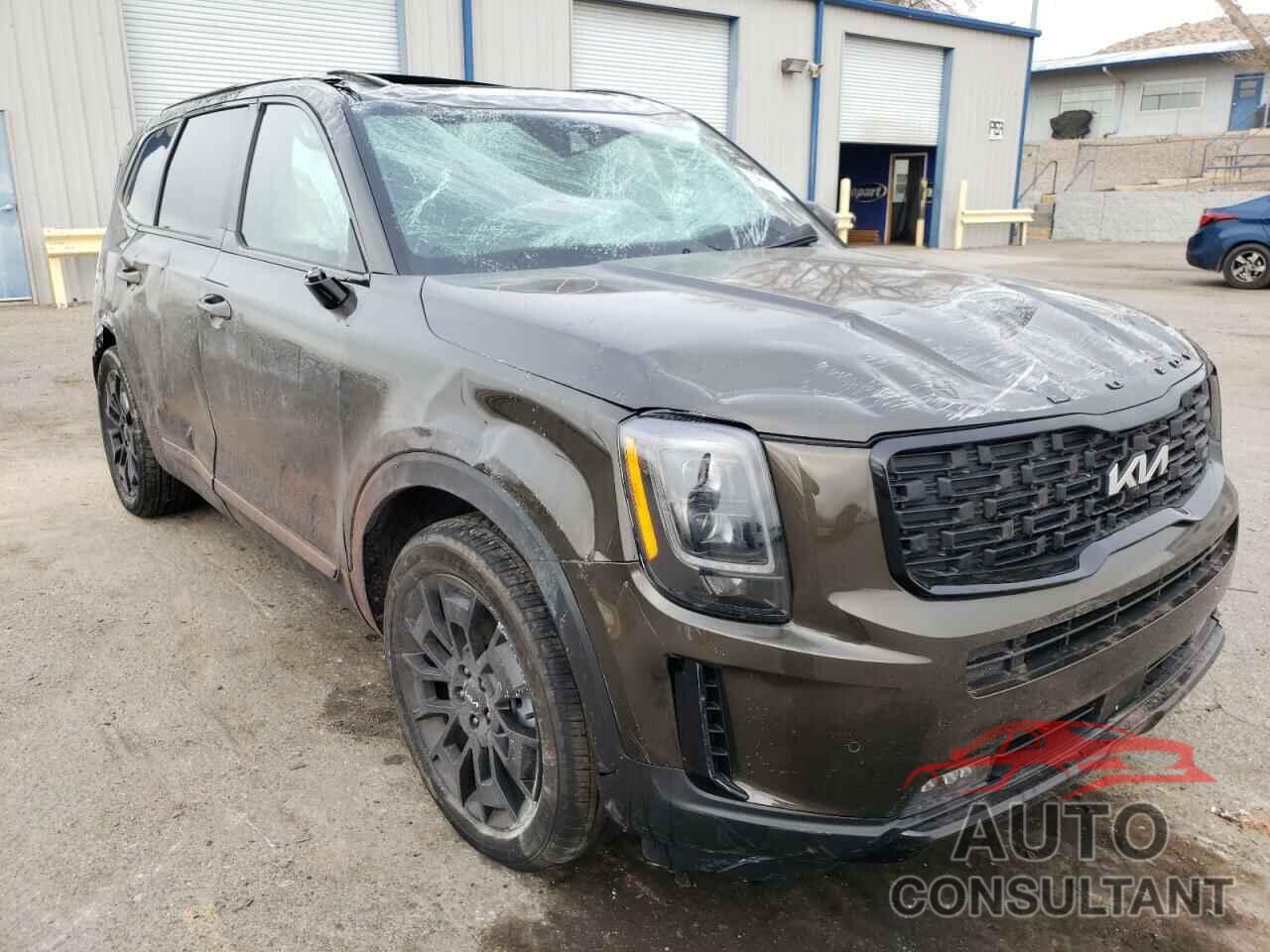 KIA TELLURIDE 2022 - 5XYP5DHC2NG212227