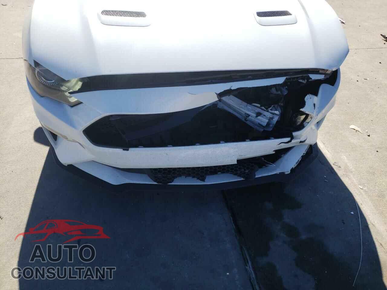 FORD MUSTANG 2019 - 1FA6P8CF3K5189646