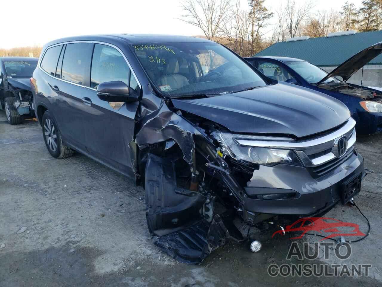 HONDA PILOT 2021 - 5FNYF6H50MB071761