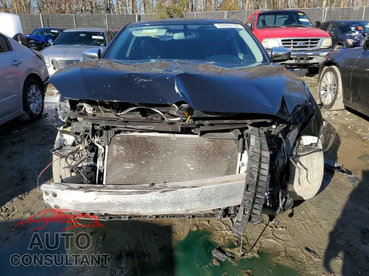 NISSAN MAXIMA 2017 - 1N4AA6AP2HC437952