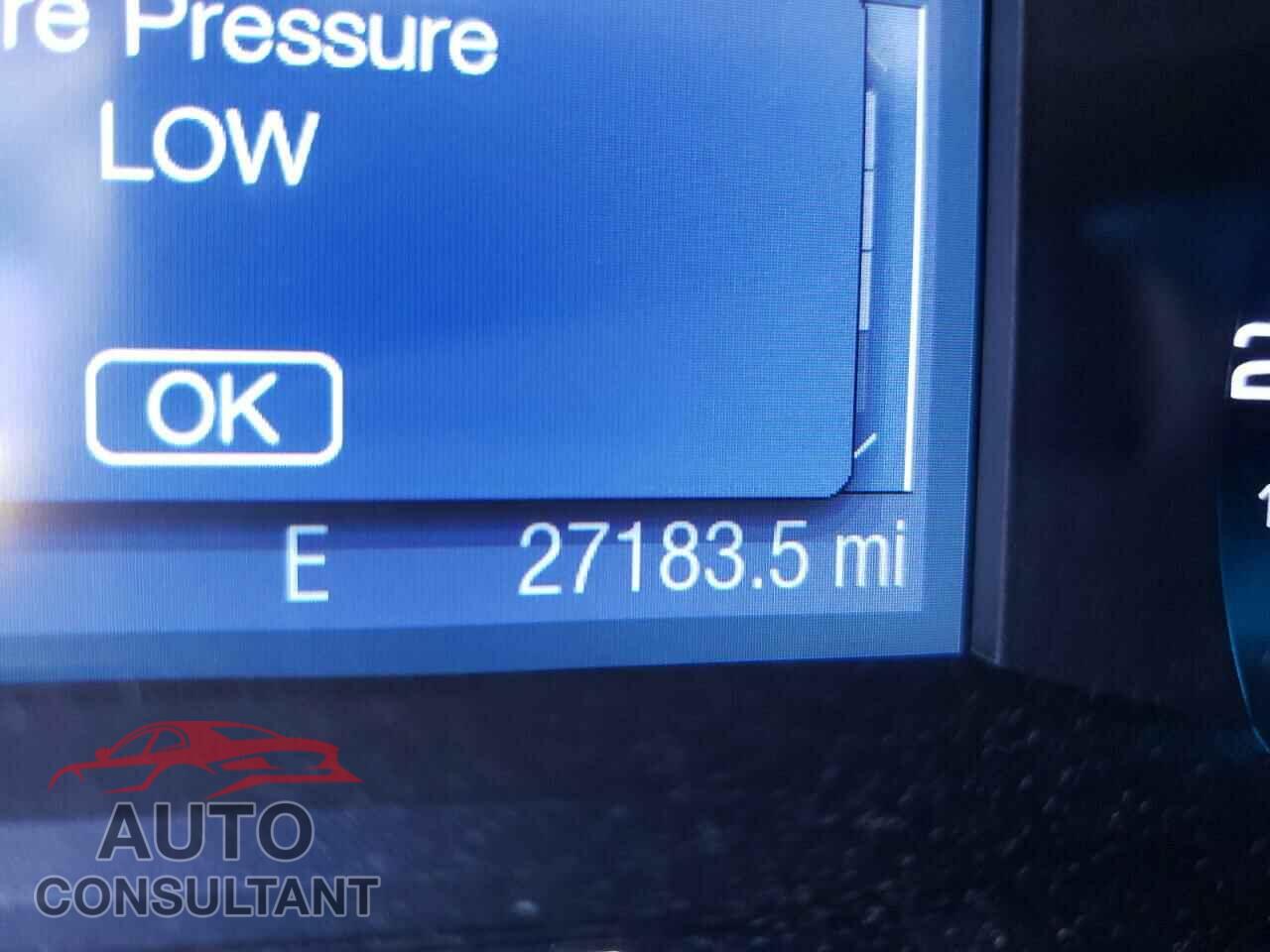 FORD FLEX 2019 - 2FMGK5B83KBA16005