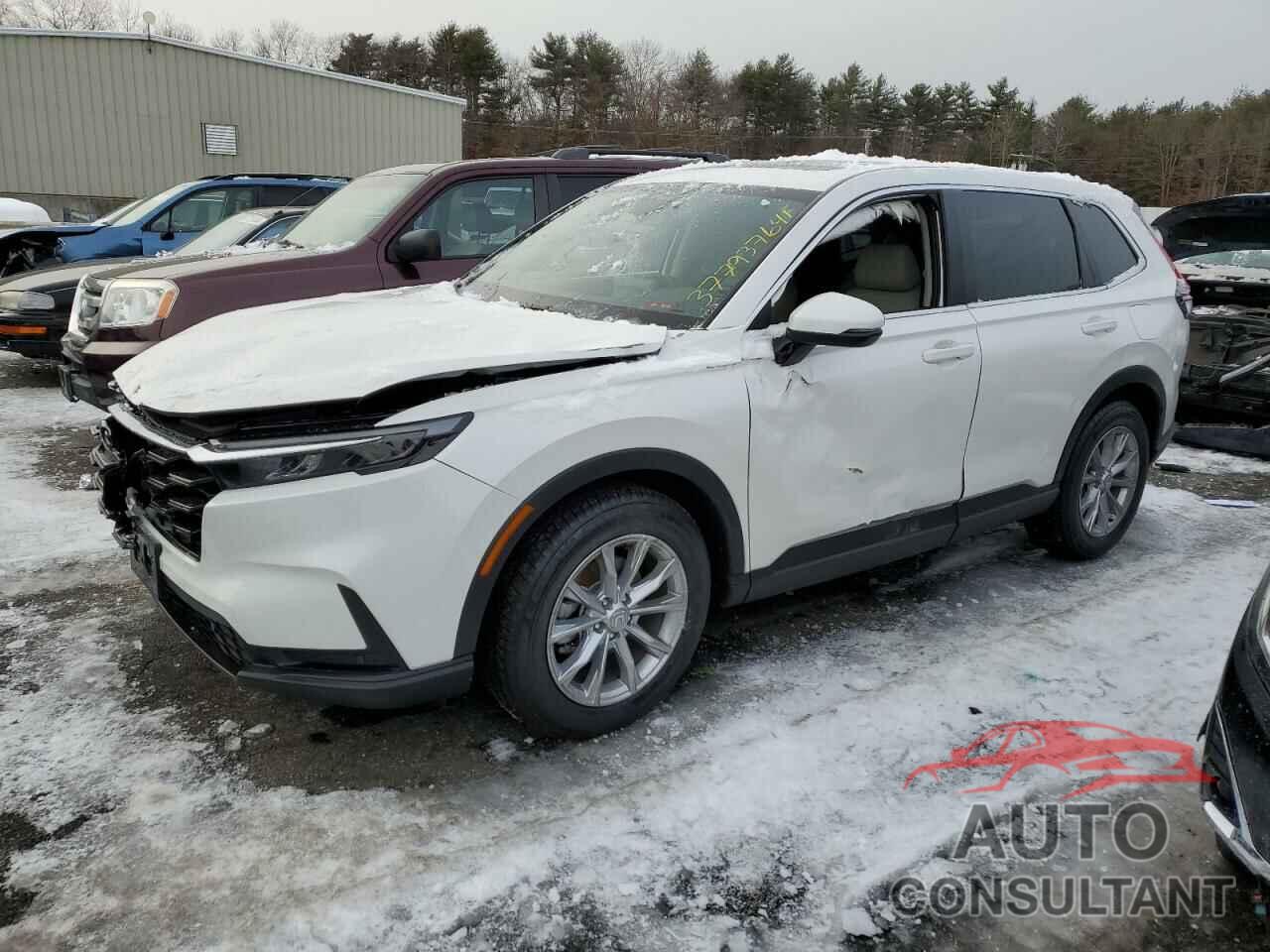 HONDA CRV 2024 - 2HKRS4H72RH431496