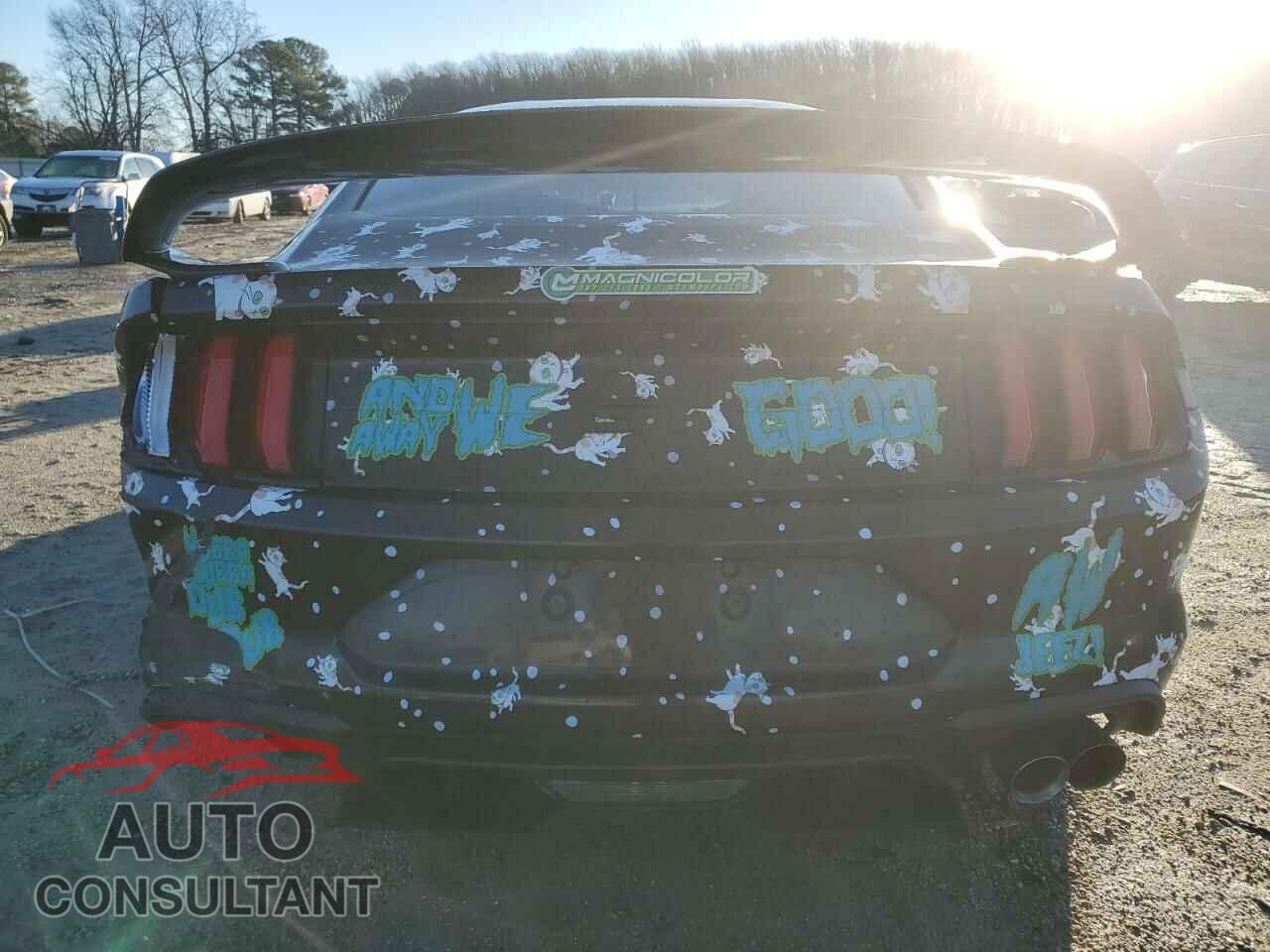 FORD MUSTANG 2018 - 1FA6P8CF8J5144491