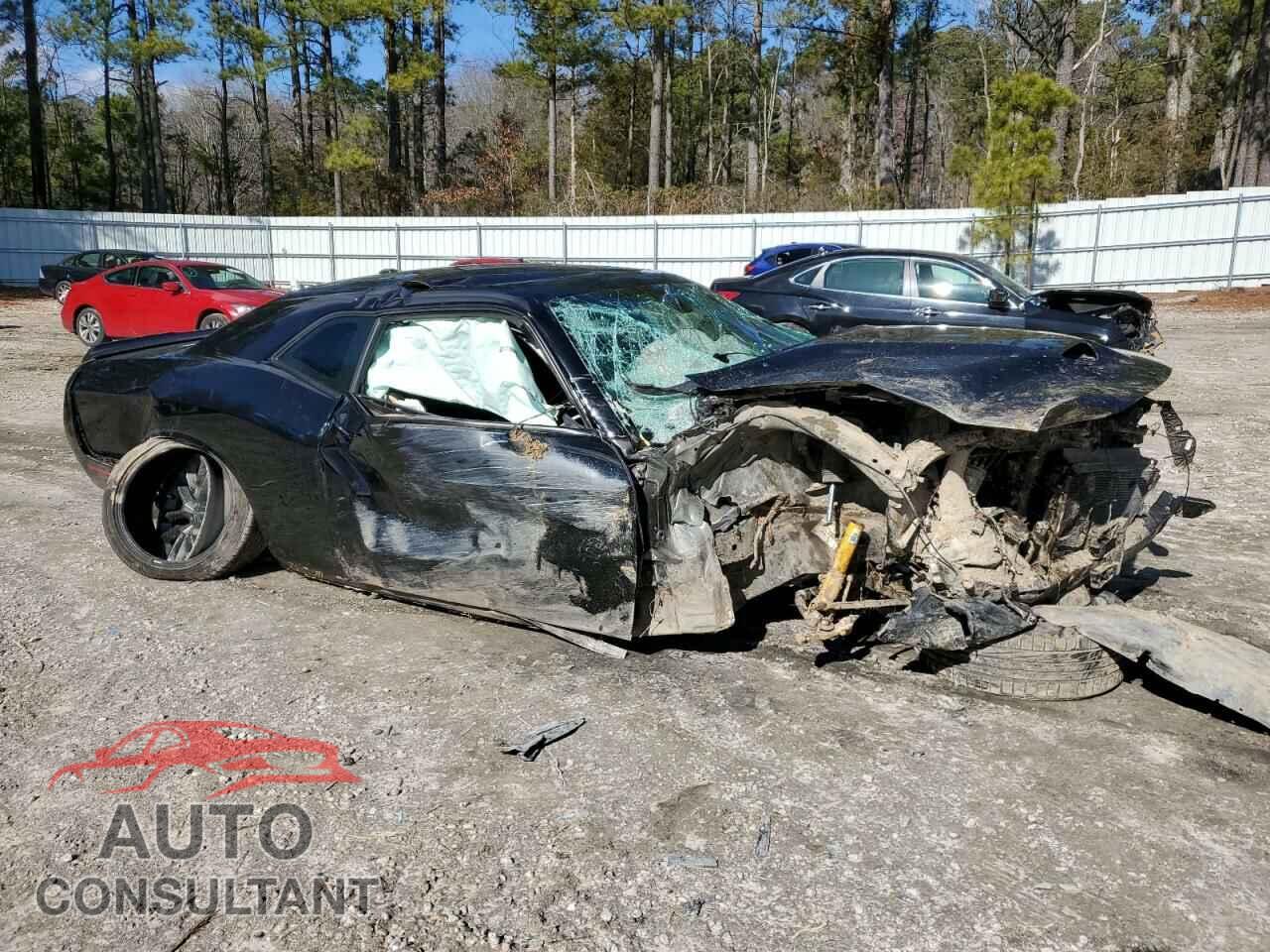 DODGE CHALLENGER 2019 - 2C3CDZBTXKH751882