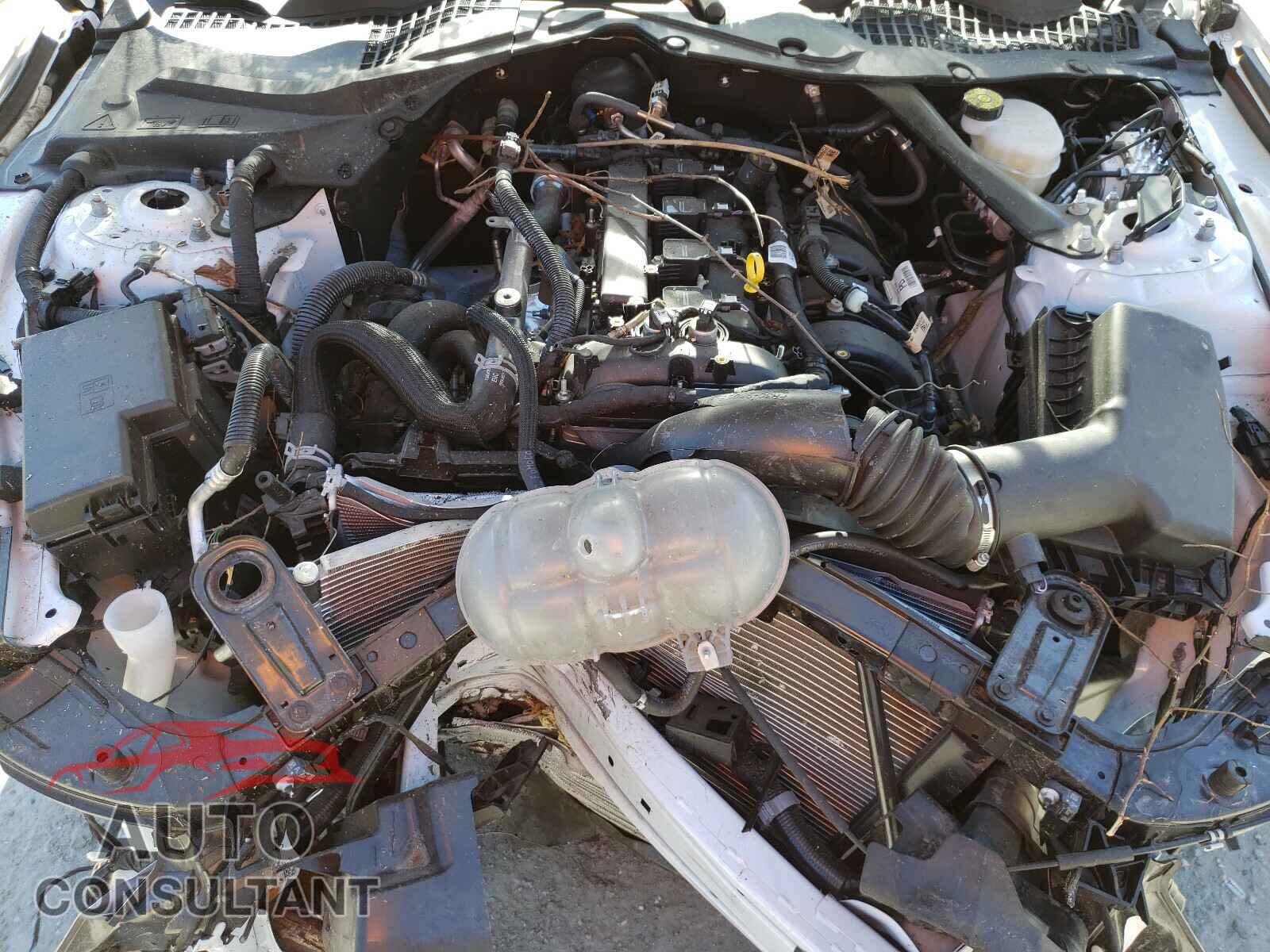 FORD MUSTANG 2021 - 1FATP8UH7M5106080