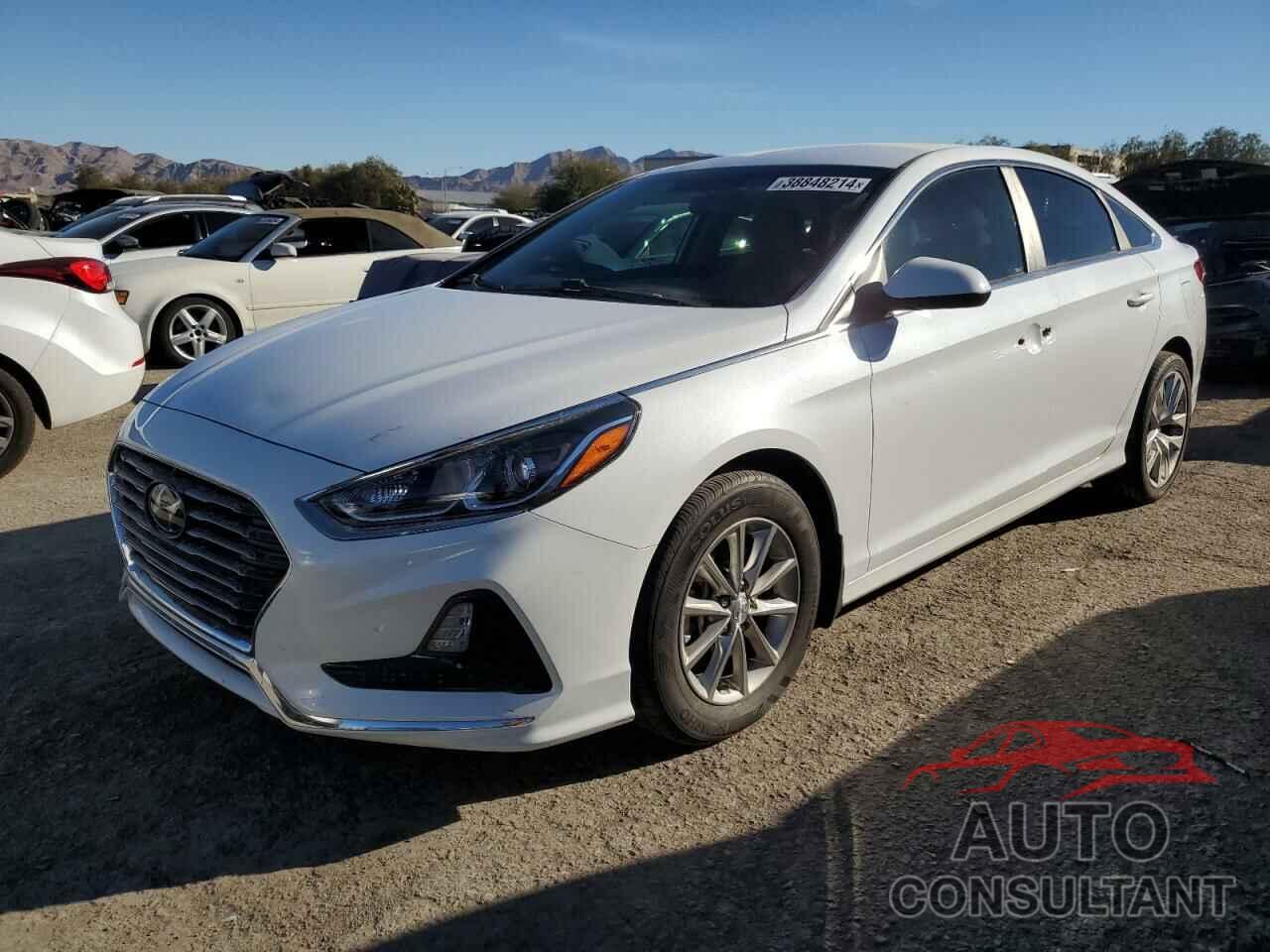 HYUNDAI SONATA 2019 - 5NPE24AF2KH793737