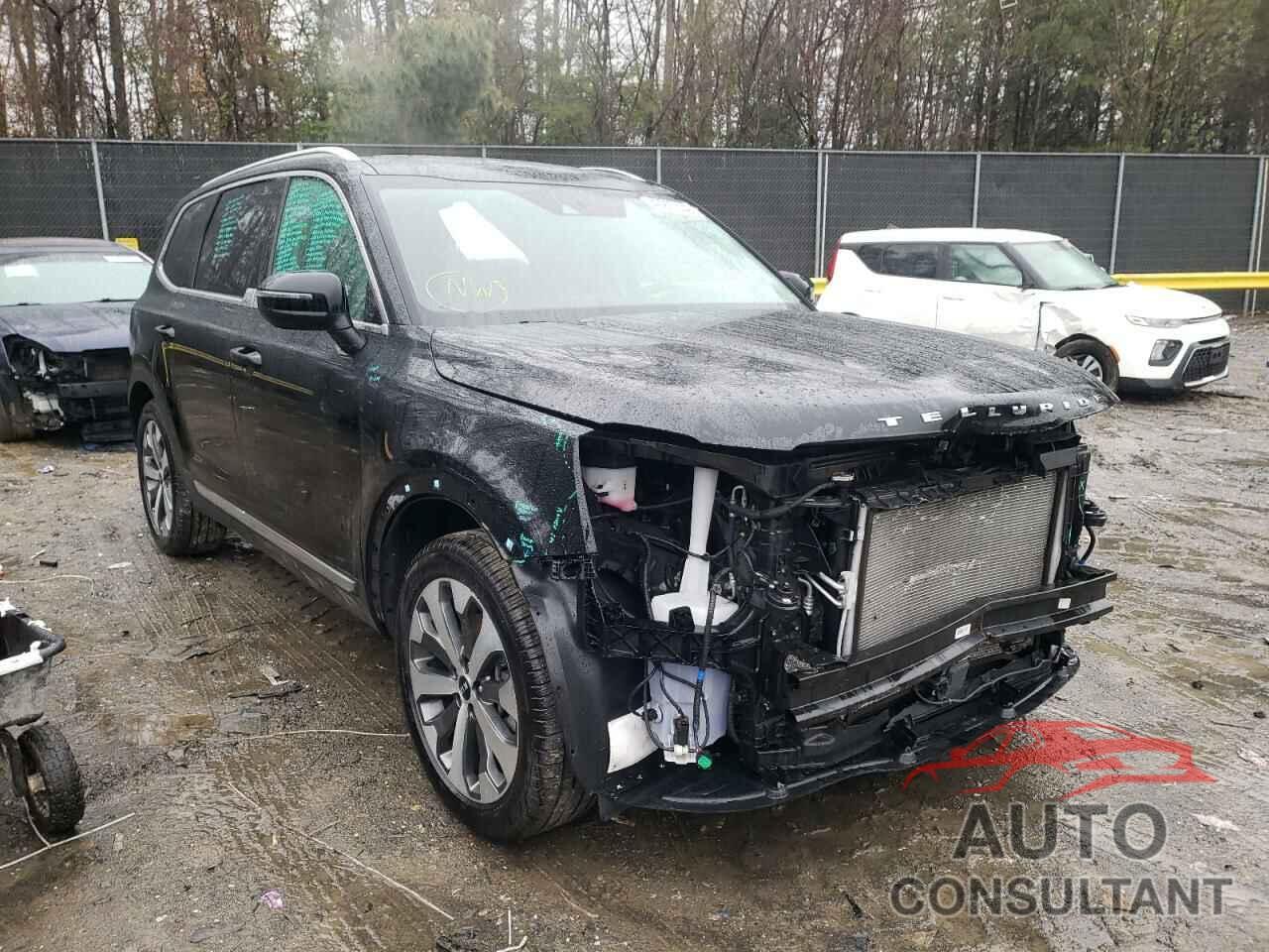 KIA TELLURIDE 2021 - 5XYP34HC6MG190804