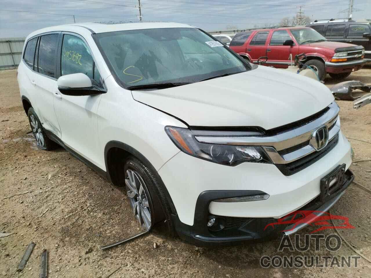 HONDA PILOT 2019 - 5FNYF6H54KB066348