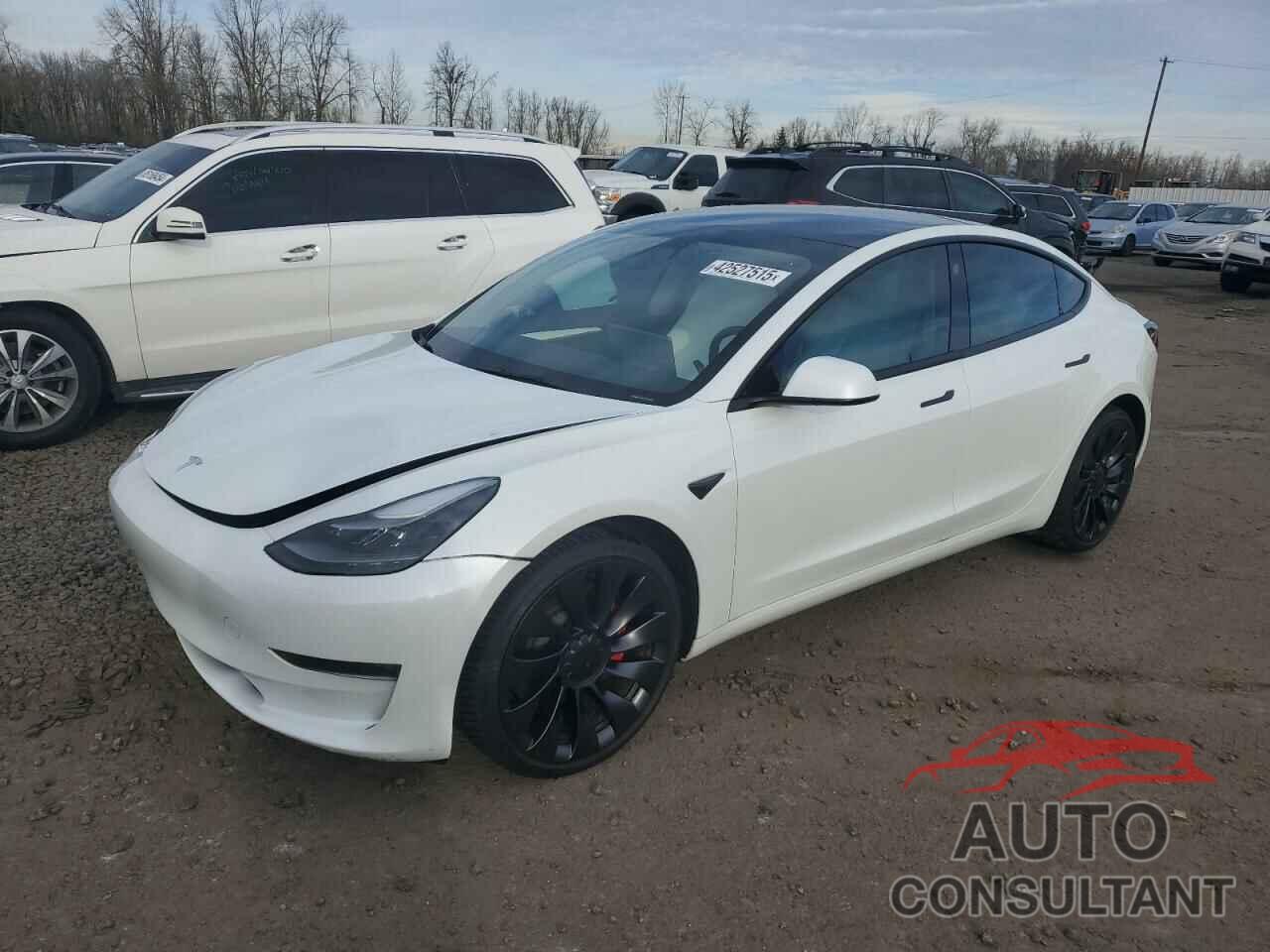 TESLA MODEL 3 2023 - 5YJ3E1EC6PF399676