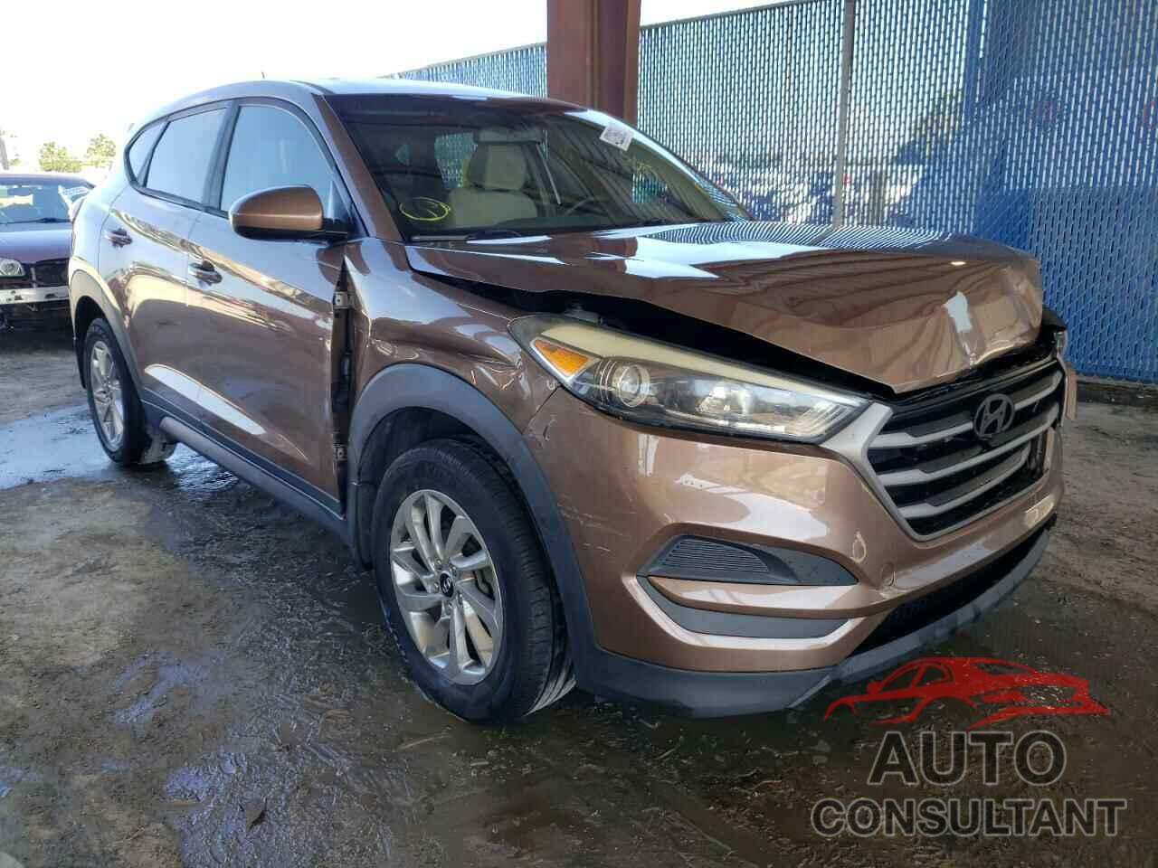 HYUNDAI TUCSON 2016 - KM8J23A43GU186066