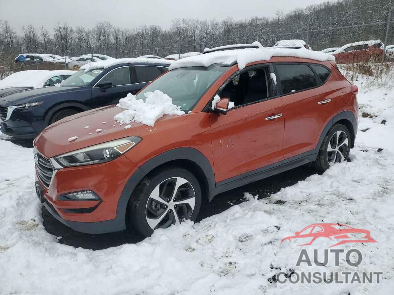 HYUNDAI TUCSON 2016 - KM8J33A26GU096003